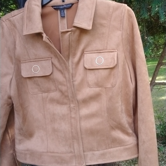 NWOT WHBM Women Sz LP Cropped Faux Suede Jacket Brown, Front Zip Spread Collar - Picture 3 of 12
